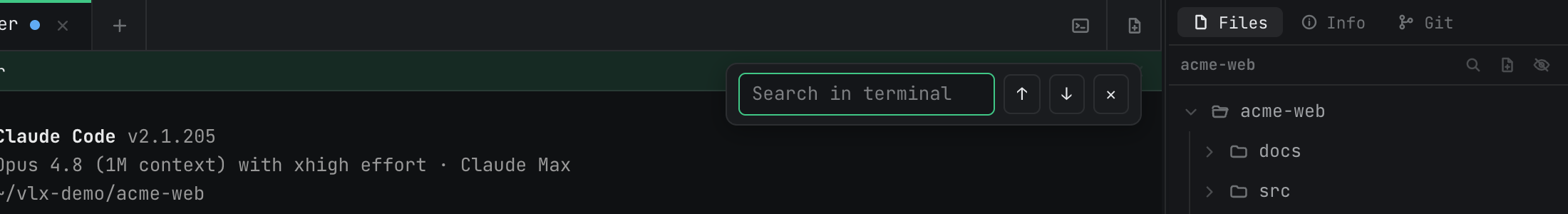 In-terminal search
